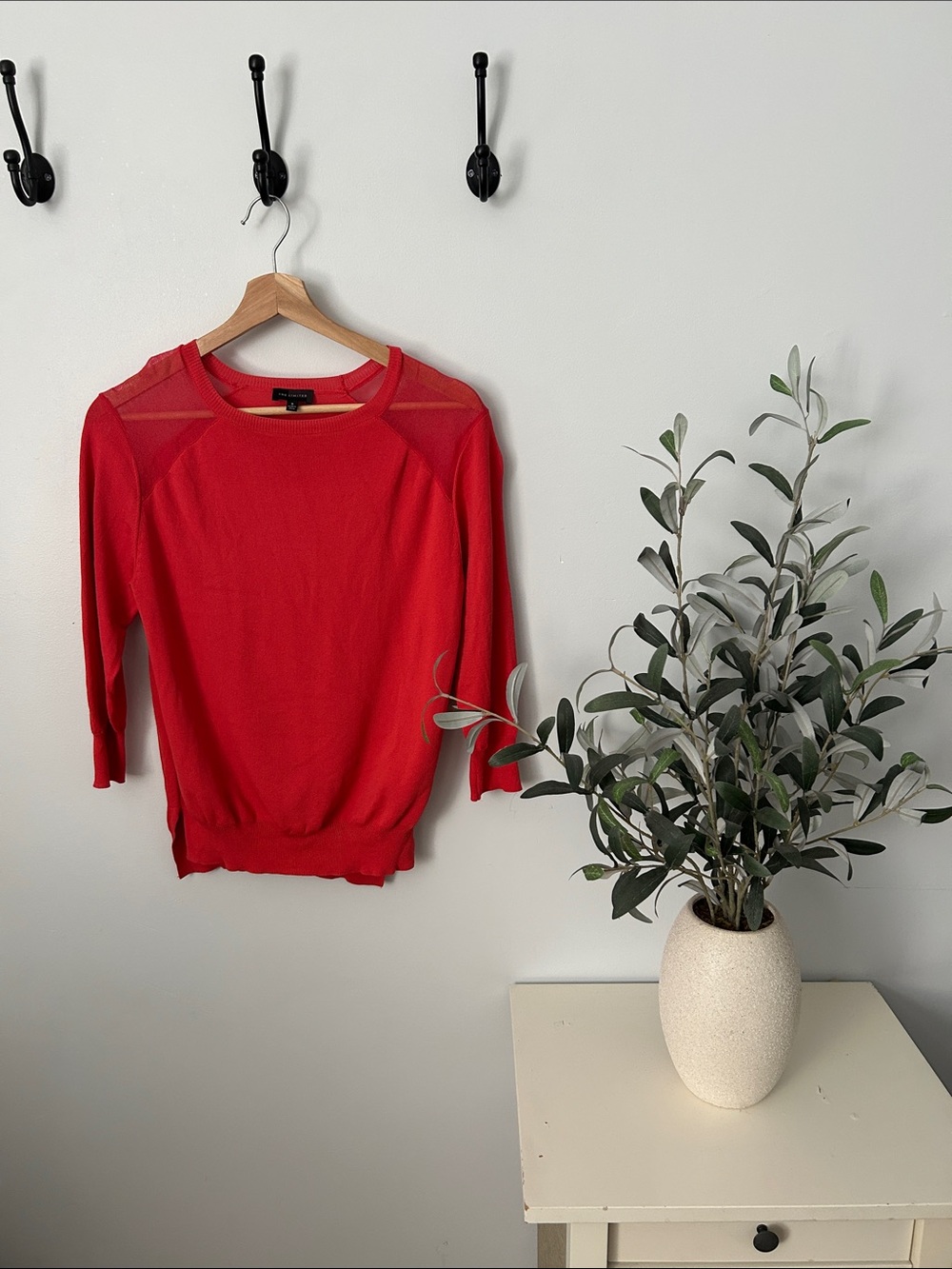 Ann Taylor Burnt Orange Sheer-Panel Crewneck Sweater